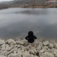 FeYZa